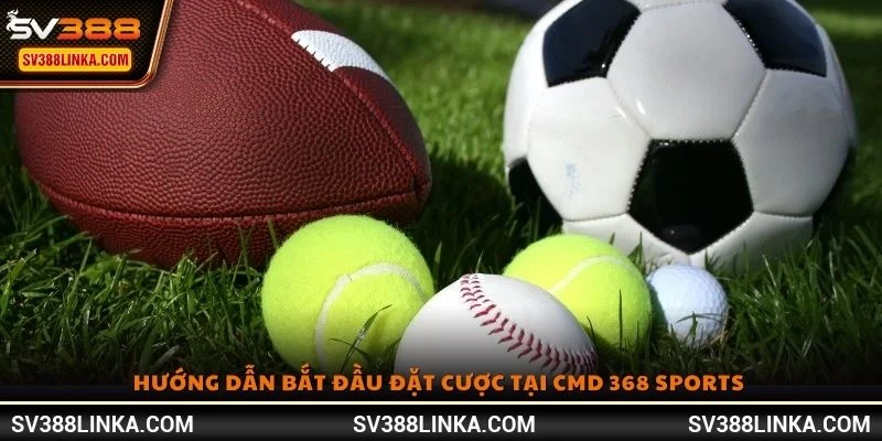 Hướng dẫn bắt đầu đặt cược tại CMD 368 Sports 