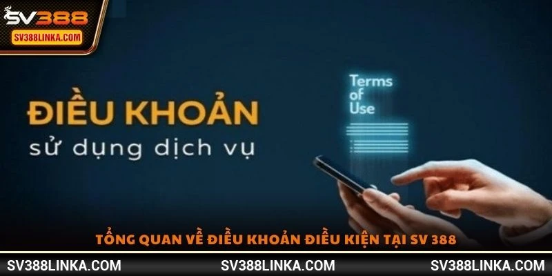 Tổng quan về điều khoản điều kiện tại SV 388