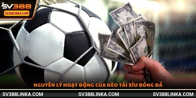 Nguyên lý hoạt động của kèo Tài Xỉu bóng đá