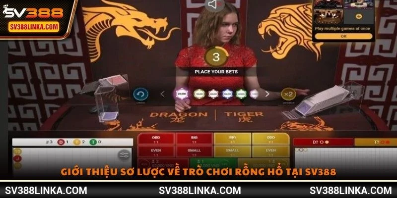 Giới thiệu sơ lược về trò chơi Rồng Hổ tại SV388